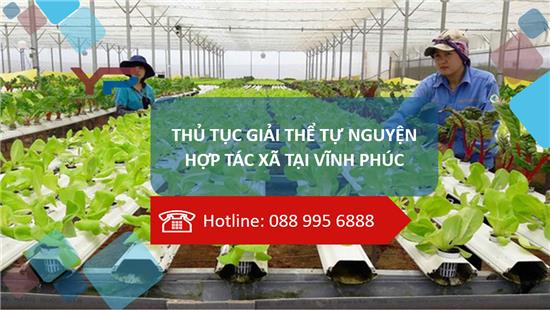 Thủ tục giải thể tự nguyện hợp tác xã tại Vĩnh Phúc